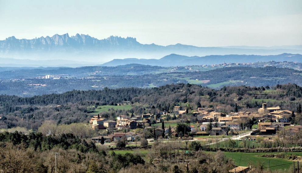 cal pons6